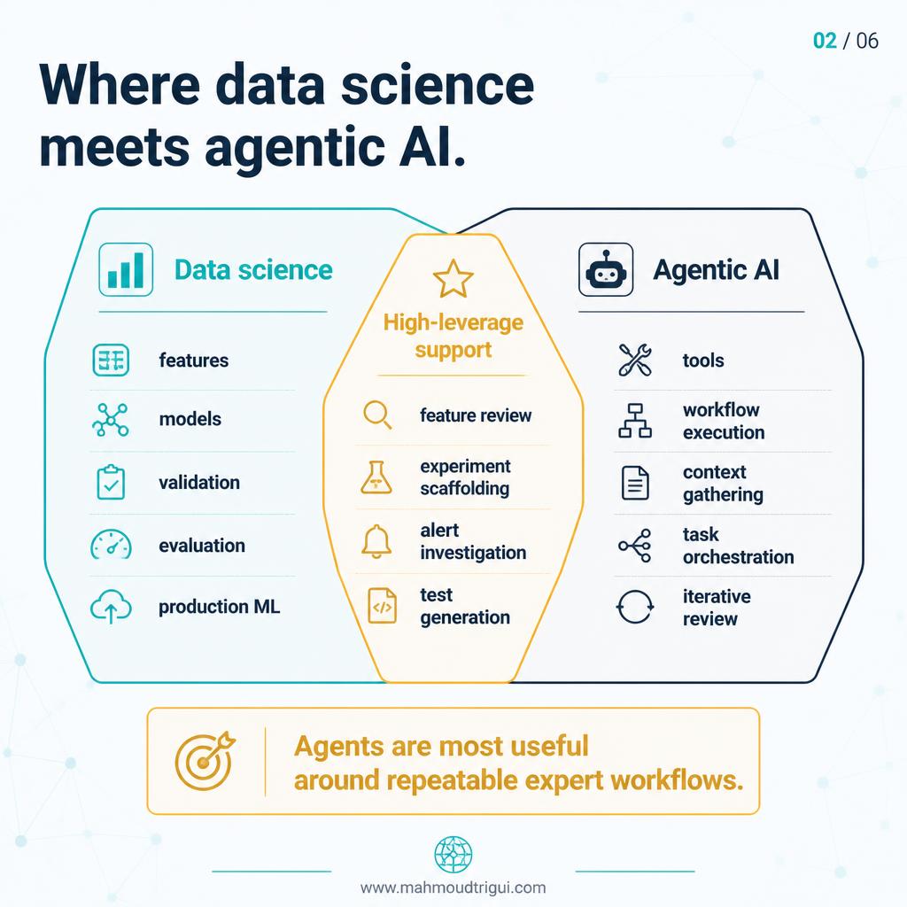 Where data science meets agentic AI — high-leverage support around repeatable expert workflows